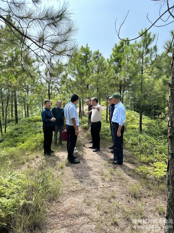 永川区学杨公风水跟陈荣昌老师实在